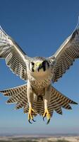 un majestuoso pájaro altísimo mediante el vibrante azul cielo ai generado foto