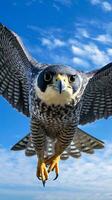 un majestuoso pájaro altísimo mediante un vibrante azul cielo ai generado foto