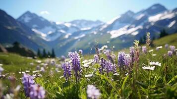 A vibrant field of wildflowers with majestic mountains as a breathtaking backdrop AI Generated photo