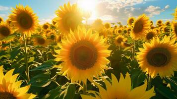 A vibrant field of sunflowers with the sun shining in the background AI Generated photo