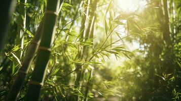 The sun shining through a grove of bamboo trees AI Generated photo