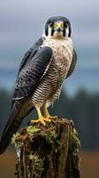 A bird perched on a tree stump in a peaceful natural setting AI Generated photo