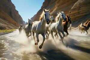 caballos Galopando mediante un fluido río ai generado foto