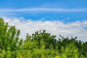 Beautiful horizon scenery in village meadow on color natural background photo