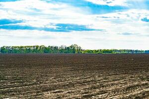 Photography on theme big empty farm field for organic harvest photo