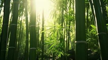 Sunlight streaming through a serene bamboo forest AI Generated photo
