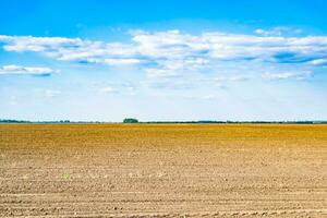 Photography on theme big empty farm field for organic harvest photo