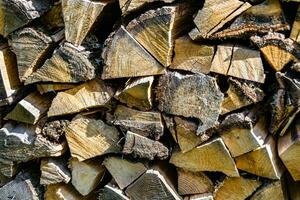 Photography on theme big wall of stacked oak tree logs in cracks photo