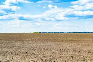 Photography on theme big empty farm field for organic harvest photo