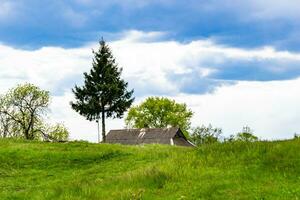 Beautiful horizon scenery in village meadow on color natural background photo