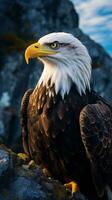 un majestuoso calvo águila encaramado en un escabroso rock ai generado foto
