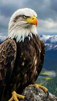 A majestic bald eagle perched on a rugged rock AI Generated photo