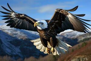 a bald eagle flying AI Generated photo