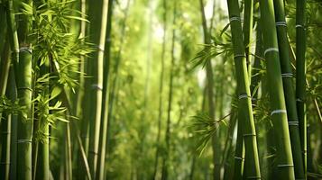 un de cerca de algunos bambú ai generado foto