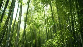 a group of bamboo trees AI Generated photo