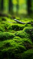 a couple of insects on a mossy rock AI Generated photo