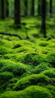 a mossy green forest AI Generated photo