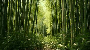 un bosque de bambú ai generado foto