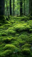 a forest of mossy trees AI Generated photo