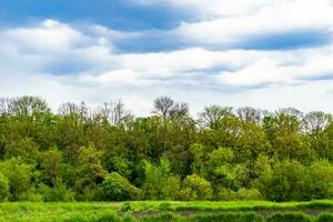 Beautiful horizon scenery in village meadow on color natural background photo