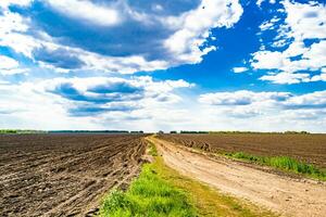 Photography on theme big empty farm field for organic harvest photo