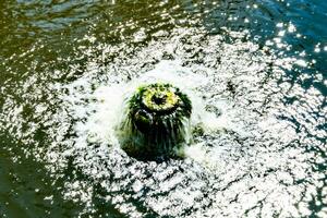 fotografía sobre el tema hermosa caída de agua de la cascada del jardín foto