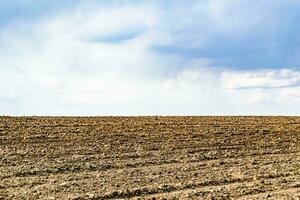 Photography on theme big empty farm field for organic harvest photo