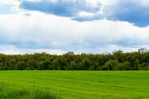 hermoso paisaje de horizonte en la pradera del pueblo sobre fondo natural de color foto