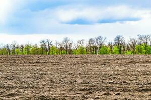 Photography on theme big empty farm field for organic harvest photo