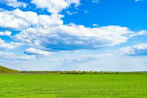 Beautiful horizon scenery in village meadow on color natural background photo