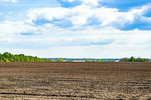 Photography on theme big empty farm field for organic harvest photo