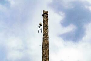 Power electric pole with line wire on colored background close up photo