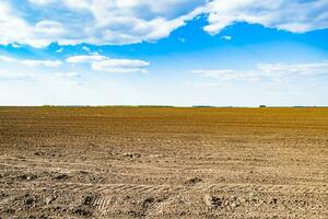 Photography on theme big empty farm field for organic harvest photo