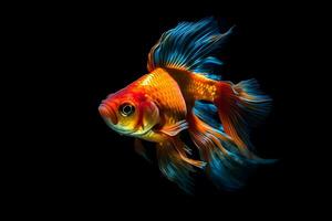 goldfish on a dark background. Neural network AI generated photo