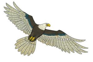 un calvo águila o halcón volador con alas untado mascota. neural red ai generado foto
