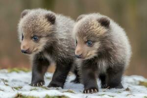 Wild brown cute bear cub close-up. Neural network AI generated photo