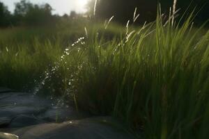 drops of dew on a green grass. Neural network AI generated photo