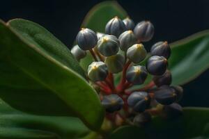 macro imagen de un raro planta. neural red ai generado foto