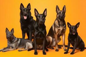 a group of dogs on an orange background. Neural network AI generated photo