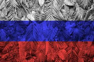 Rusia bandera representado en muchos hojas de monstera palma arboles de moda de moda fondo foto