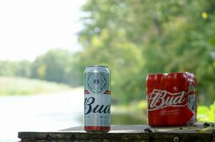 Budweiser Bud beer cans on old wooden table outdoors at the river and green trees background photo