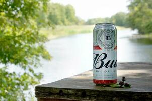 Budweiser Bud beer can on old wooden table outdoors at the river and green trees background photo