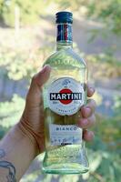 botella de Vermut martini rossi en masculino mano en un verde arboles antecedentes foto
