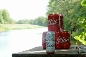 Budweiser Bud beer cans on old wooden table outdoors at the river and green trees background photo