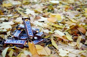 risitas chocolate barras en marrón envase mentiras en otoño hojas antecedentes foto