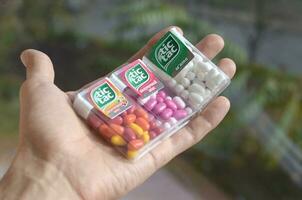 Hand holds three Tic Tac Candy packages of different tastes close up. Tic tac is popular due its minty fresh taste and easy to carry. Hard mints produced by Ferrero since 1968 photo