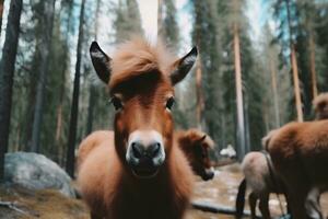 linda pequeño gracioso poni. neural red ai generado foto