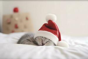 Cute kitten sleeps in a Christmas hat. Neural network AI generated photo