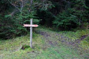 Arrow sign to Mount Hoverla direction hanging peak of Ukrainian Carpathians photo