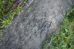 Foot mark on the jungle trail. Shoe prints on wet gravel or mud in mountain area photo